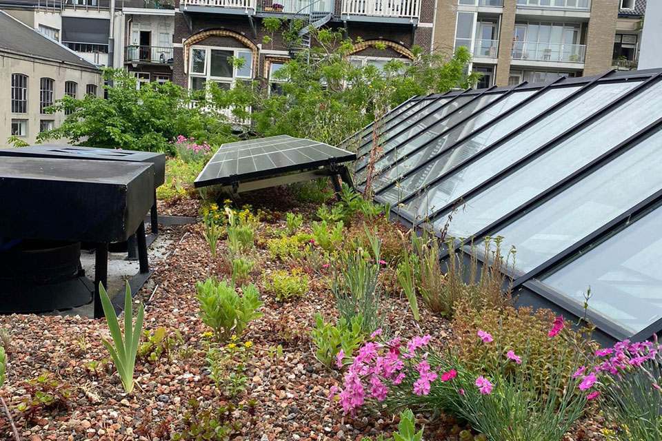 Sedum dak met zonnepanelen