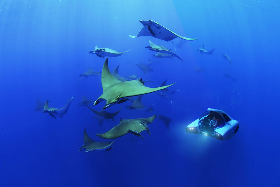 NEMO duikboot onderwater