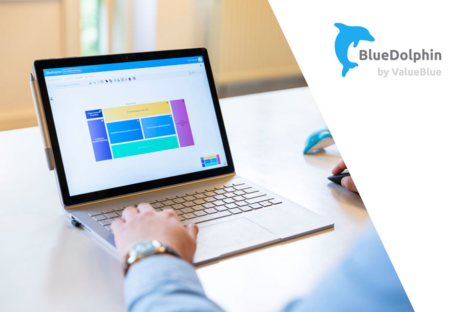 Toepassing BlueDolphin op laptop