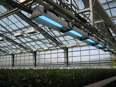 Gewasbescherming met UV licht