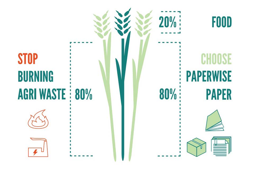 Paperwise papier van landbouwafval voor verpakkingen drukwerk en kantoor infographic