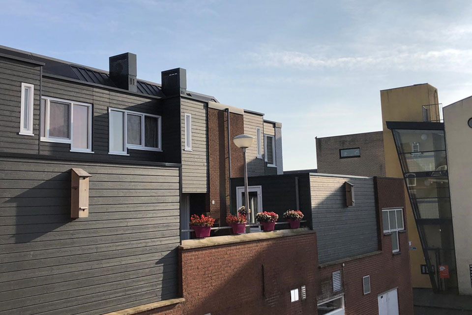 Massief houten Huismusflats te Leusden