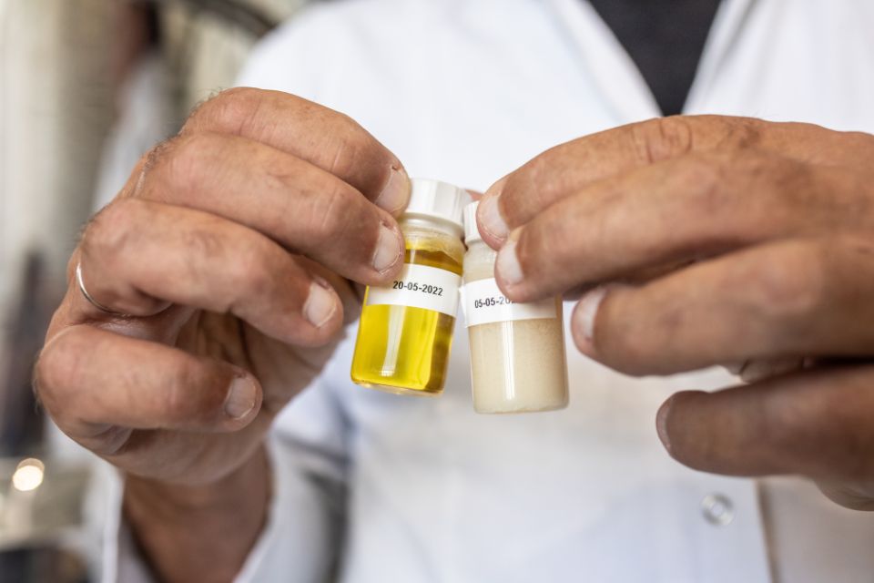 NoPalm Ingredients | Palmolie zonder palmbomen