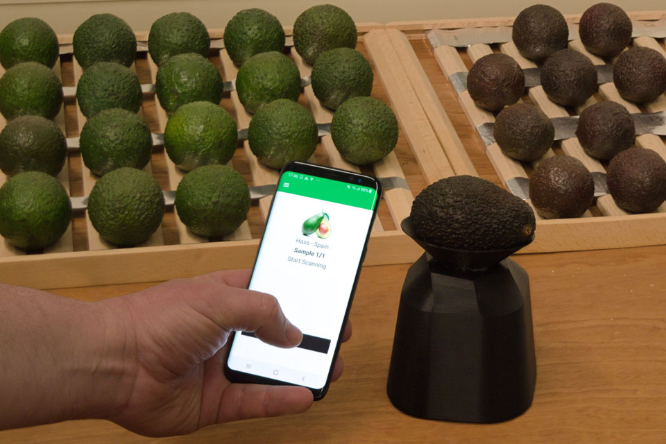 Avocadoscanner op smartphone