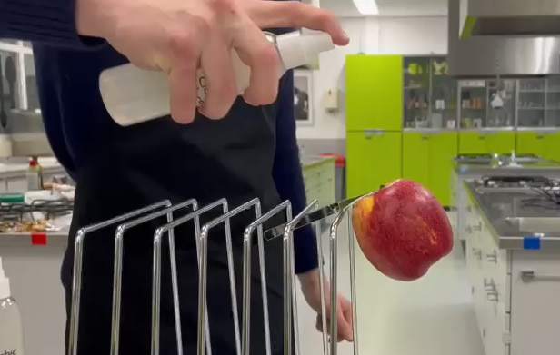 Quantum food Preservation - Preservatie membraan