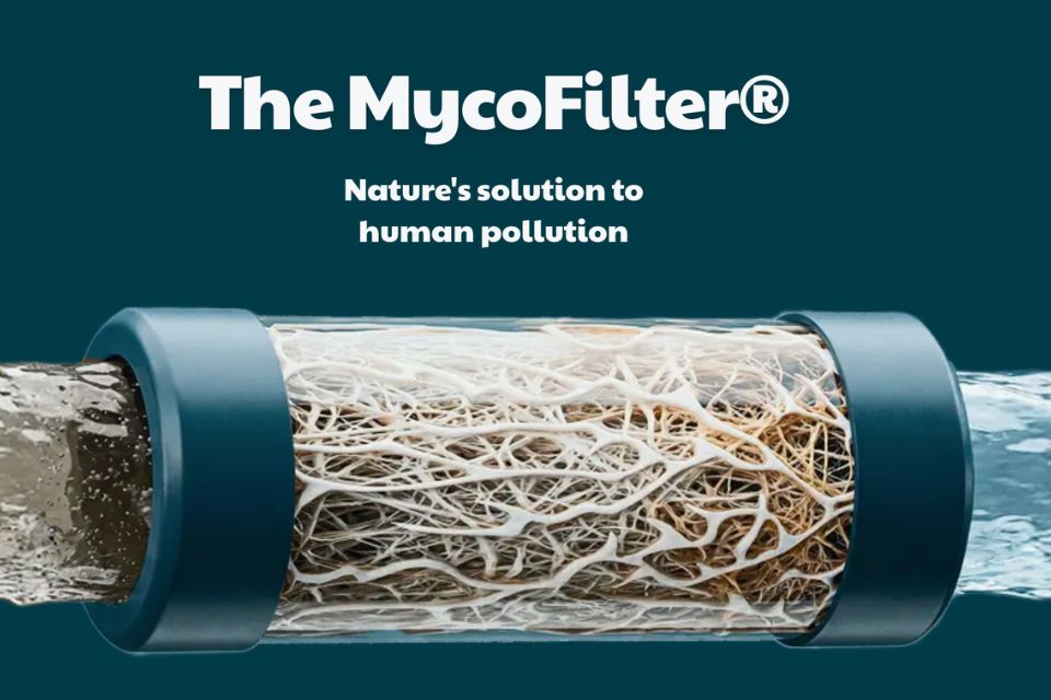MycoFarming - Mycofiltration at scale in MyContainers and MycoIslands, cleaning water with fungal mycelium.