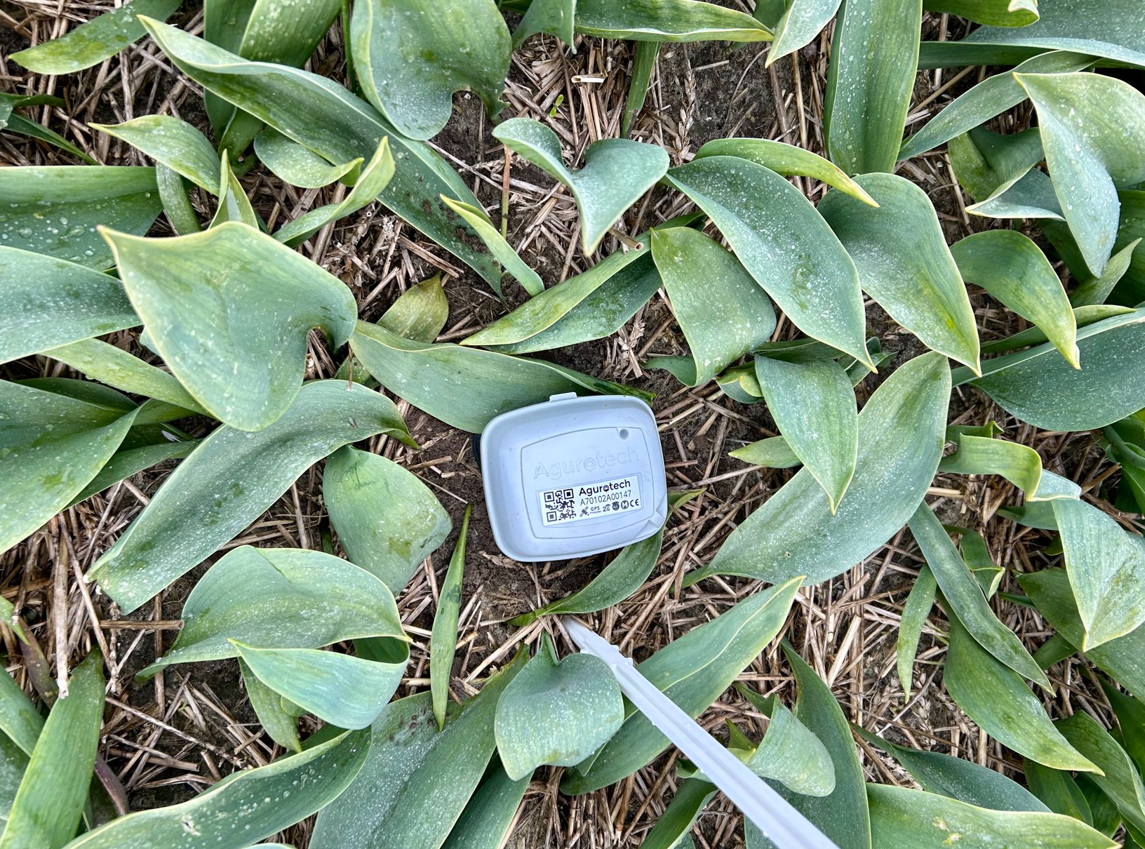 Dataplatform voor boeren - Agurotech 